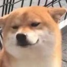 和光同尘