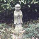 朱珠