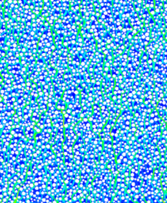 格子玻尔兹曼模拟 格子玻尔兹曼方法 LBM lbm 多相流模拟 多孔介质 沸腾冷凝 湍流