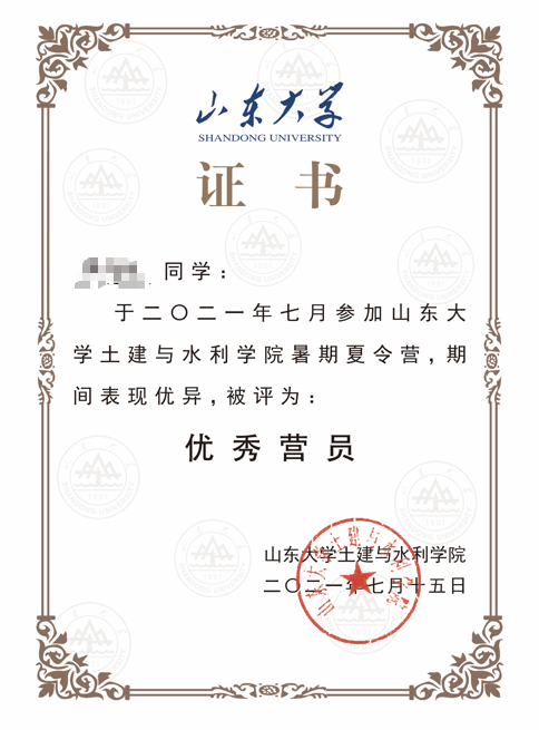 大学生就业简历优化/保研升学指导服务