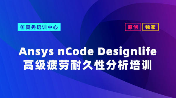 Ansys nCode Designlife高级疲劳耐久性分析培训