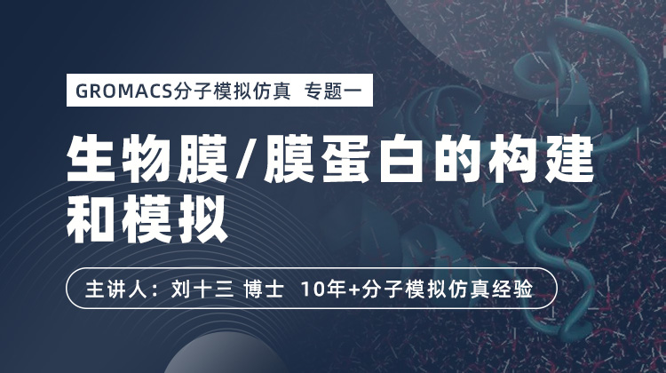 GROMACS分子模拟专题一-生物膜之双层膜混合膜和膜蛋白的构建和模拟仿真技术.jpg