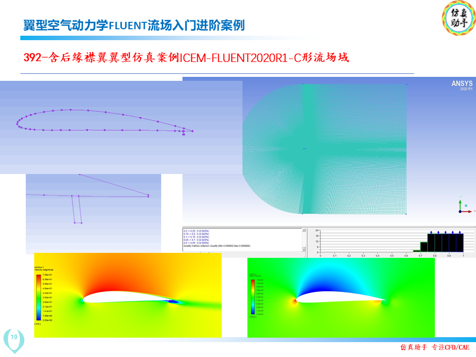 幻灯片19.PNG