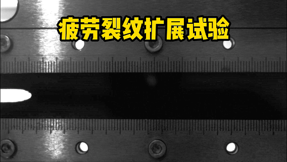 10月15日.gif