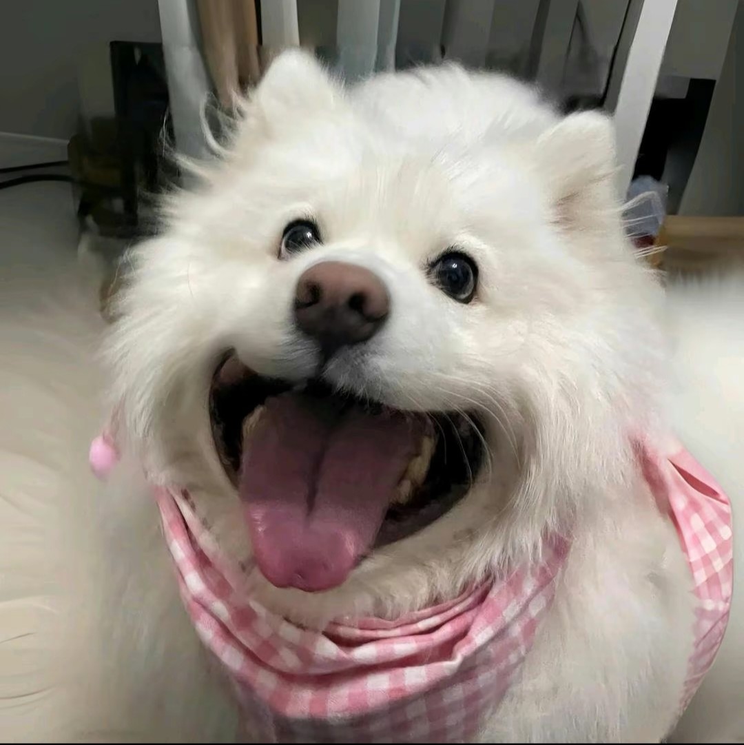 反面教材小王子