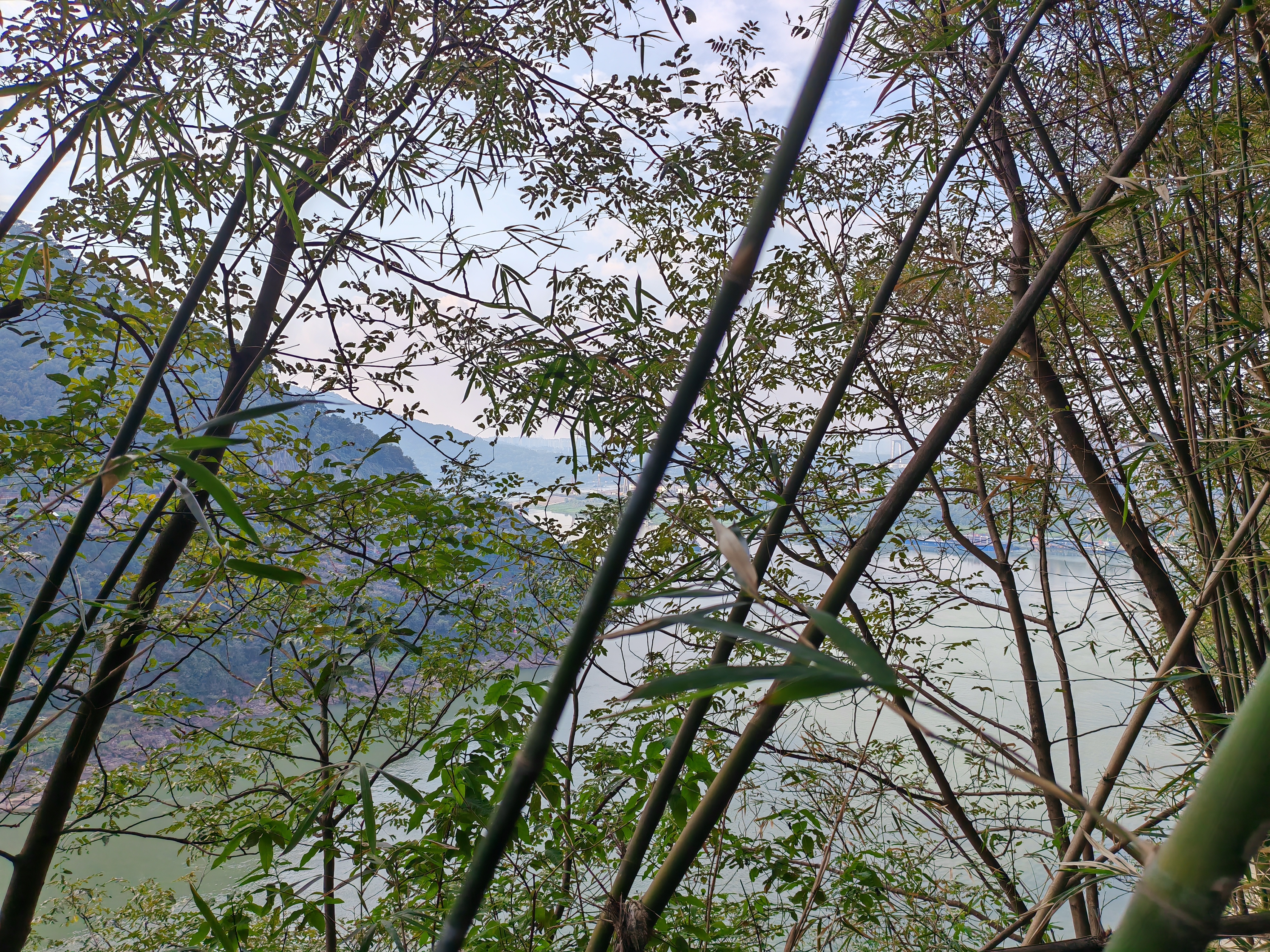 雄霸