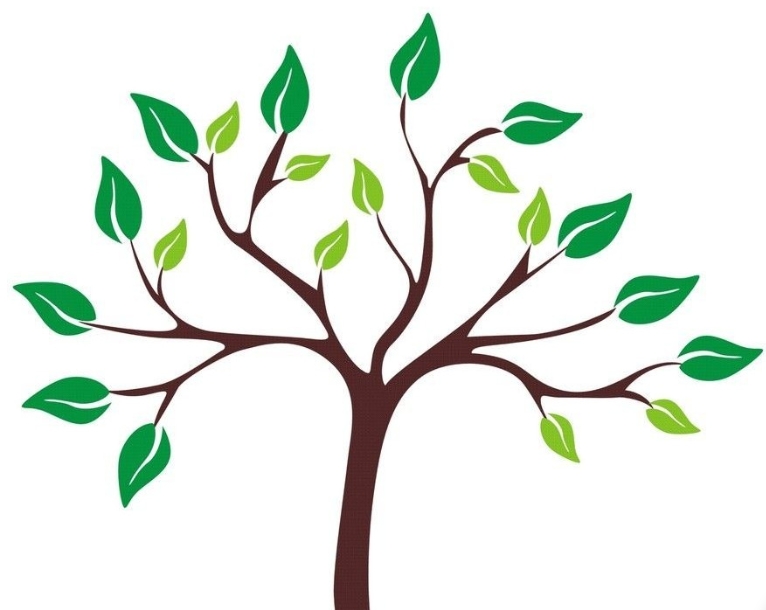 CFDTree