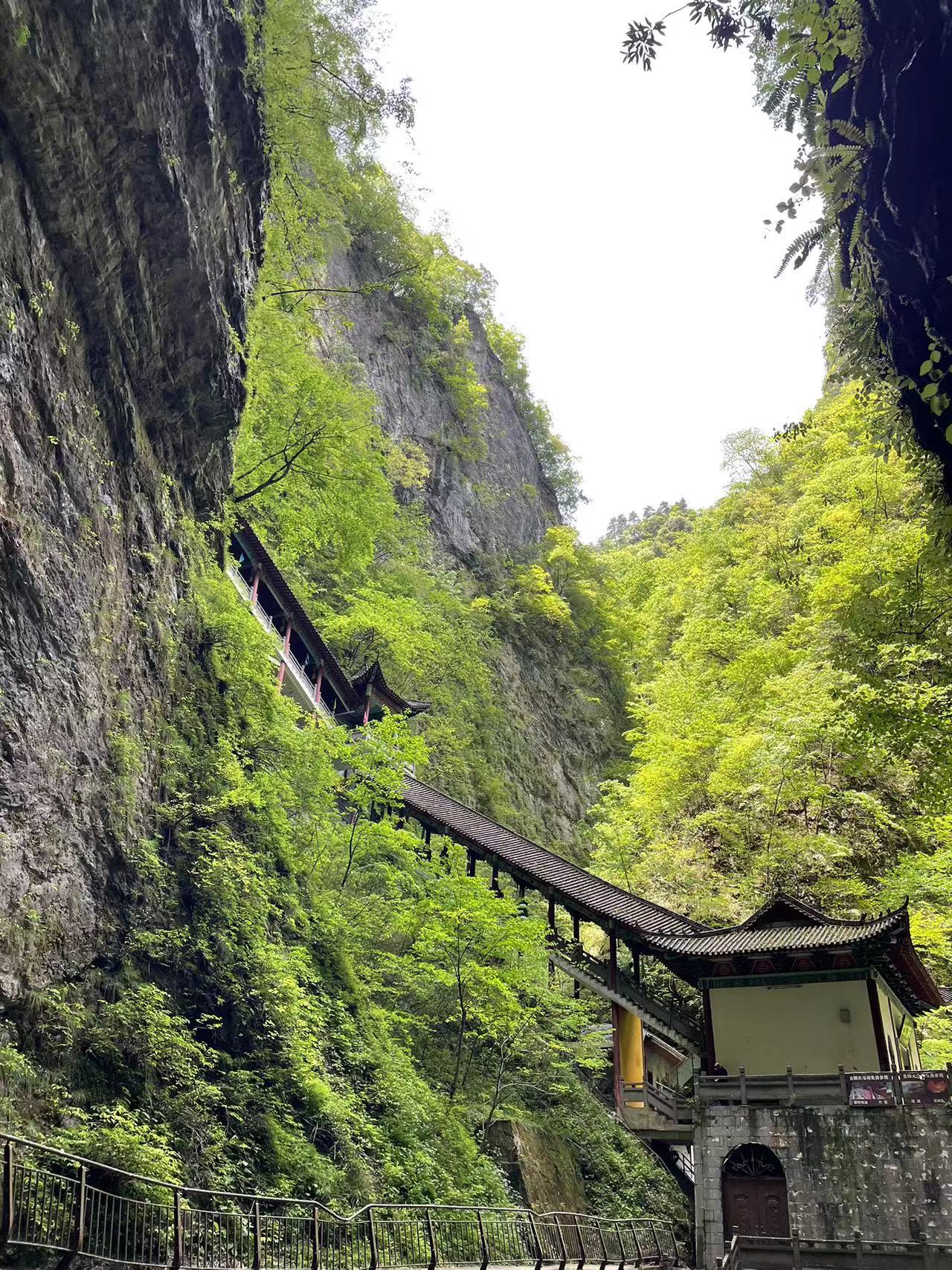 武～花肉