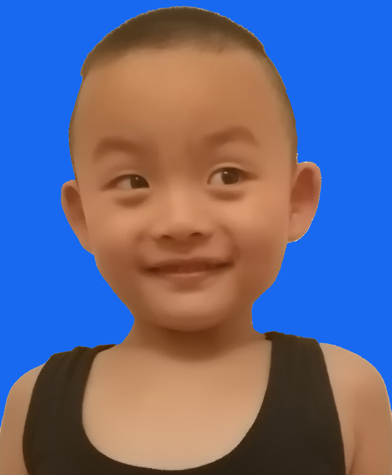 CAE智能体设计